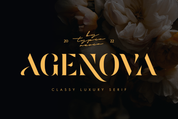 Agenova Serif Font Review for Real Projects