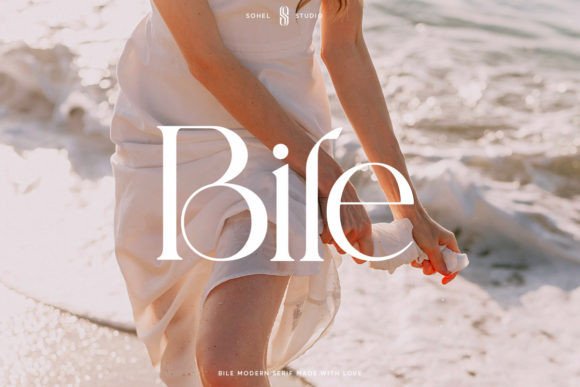 Bile Serif Font for Professional Branding