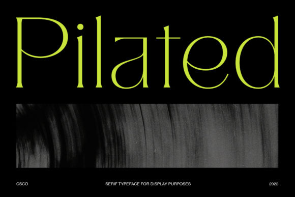 Pilated - Modern Serif Typeface for Campaign Creativity